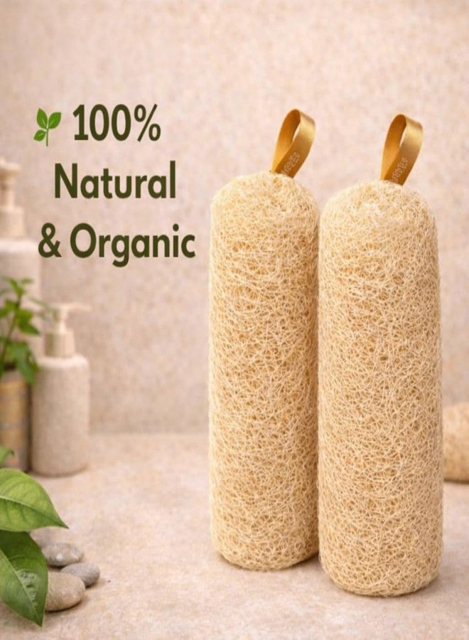 ink craft Natural Loofah Scrubber for Bathing - 100% Organic Dried Luffa Sponge - Body Loofah Scrubber for Men & Women - Back & Body Scrubber - Exfoliating Bath Sponge - (Pack of 2/Cylindrical) - Image 2