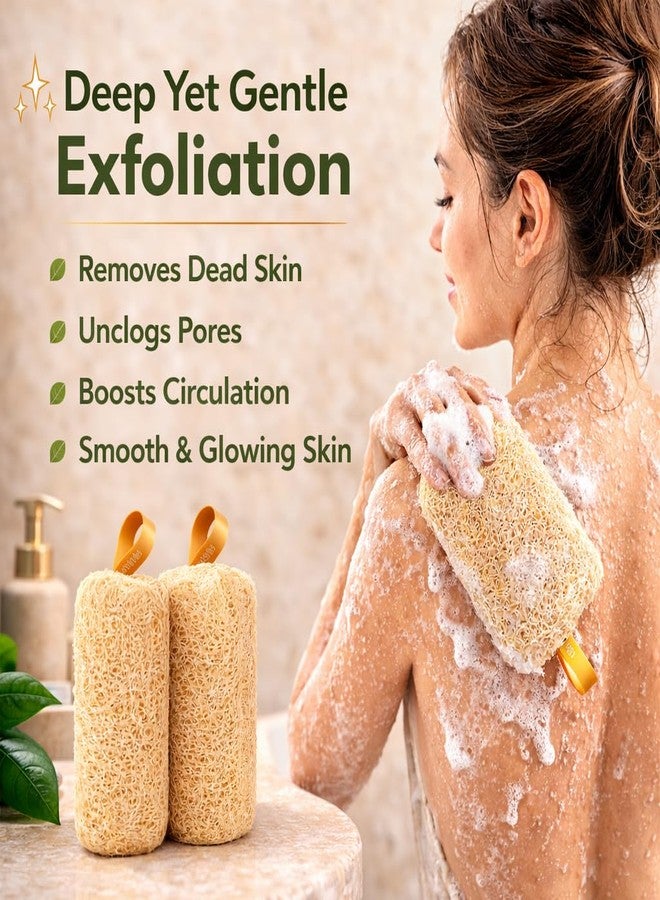 ink craft Natural Loofah Scrubber for Bathing - 100% Organic Dried Luffa Sponge - Body Loofah Scrubber for Men & Women - Back & Body Scrubber - Exfoliating Bath Sponge - (Pack of 2/Cylindrical) - Image 5