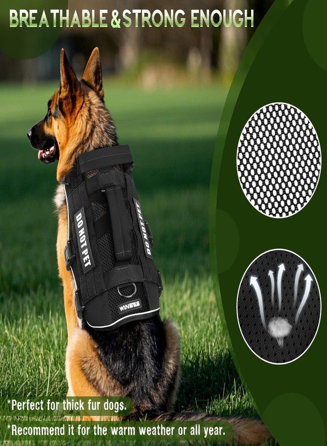 Toddmomy Poop Scooper for Dogs, Dog Poop Waste Pick up Shovel with Long Handle, Waste Pick up Scoop for Pet - Image 1