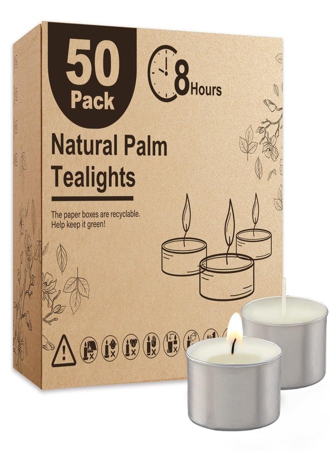 Ashlux Tea Lights Candles 50 Pack 8 Hours - Image 1