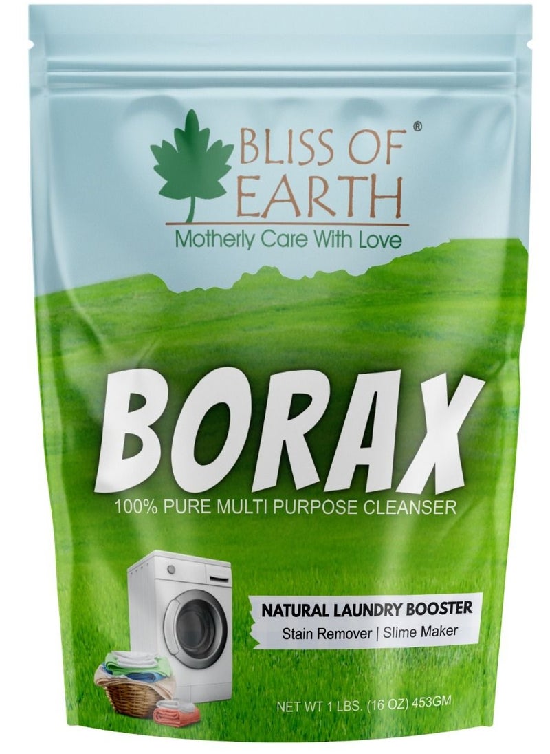 BLISS OF EARTH Bliss of Earth American Borax Detergent Booster Powder Slime Activator Multipurpose Cleaning & Stain Remover Powder Ants Killer 100% Pure Natural Sodium Borate Powder 453gm  - Image 1