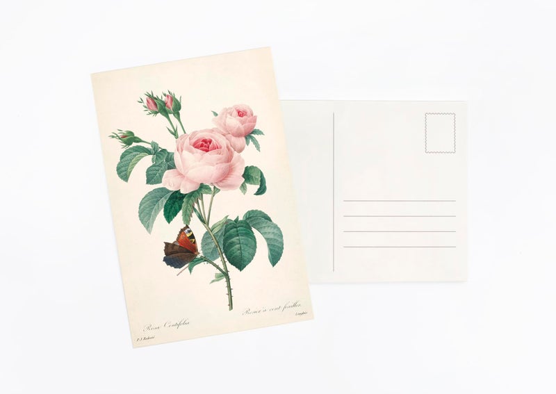 Wintertime Crafts Nature Collection Postcard Set: Pack of 30 Retro Style Botanical, Nature and Birds Postcards - Image 5