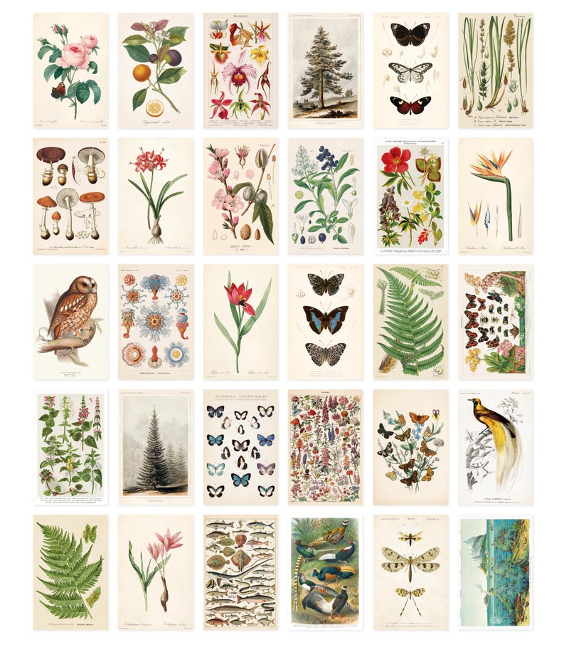 Wintertime Crafts Nature Collection Postcard Set: Pack of 30 Retro Style Botanical, Nature and Birds Postcards - Image 1