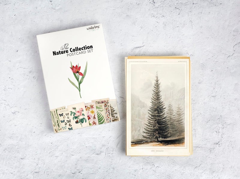 Wintertime Crafts Nature Collection Postcard Set: Pack of 30 Retro Style Botanical, Nature and Birds Postcards - Image 2