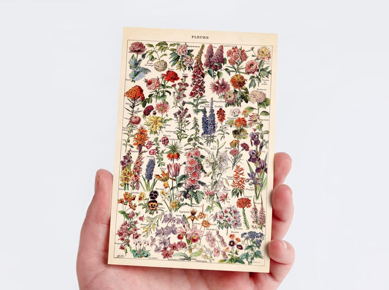 Wintertime Crafts Nature Collection Postcard Set: Pack of 30 Retro Style Botanical, Nature and Birds Postcards - Image 4