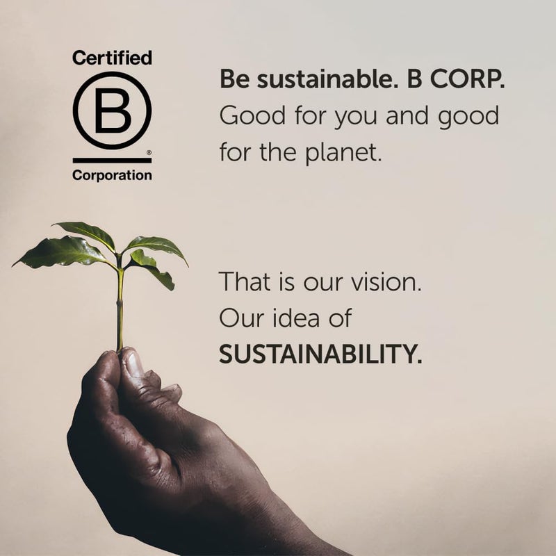 Illy Classico Roast Coffee Pods for Keurig - 32 Count - Mild and Flavorful with Caramel, Orange Blossom & Jasmine Notes - Image 5