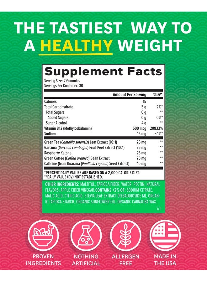 Zenwise Health Zenwise Green Tea Extract, Apple Cider Vinegar Gummies - Appetite Suppressant for Weight Management with Green Coffee Bean Extract for Metabolism - 60 Count Apple Gummies - Image 5