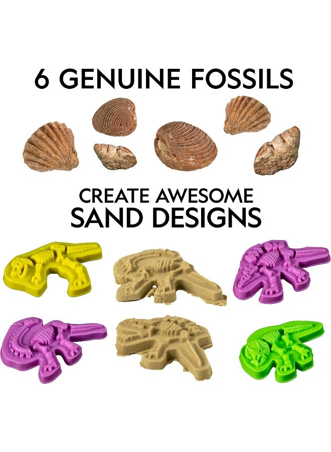 NATIONAL GEOGRAPHIC رمل اللعب الأحفوري من ناشيونال جيوغرافيك - 2 رطل من رمل اللعب، 4 قوالب كبيرة، 6 أحافير حقيقية، مجموعة نشاط رمل حركي حسية للأولاد والبنات - Image 3