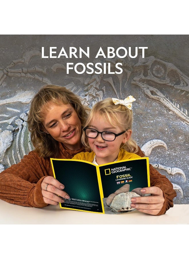 NATIONAL GEOGRAPHIC رمل اللعب الأحفوري من ناشيونال جيوغرافيك - 2 رطل من رمل اللعب، 4 قوالب كبيرة، 6 أحافير حقيقية، مجموعة نشاط رمل حركي حسية للأولاد والبنات - Image 5