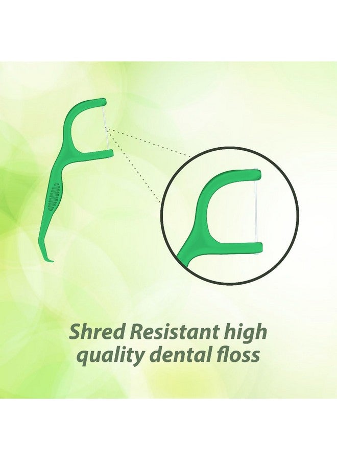 Dentoshine Deep Clean Dental Picks -Mint Flavored 50 ct CAN x 3 (Pack of 3) - Image 2