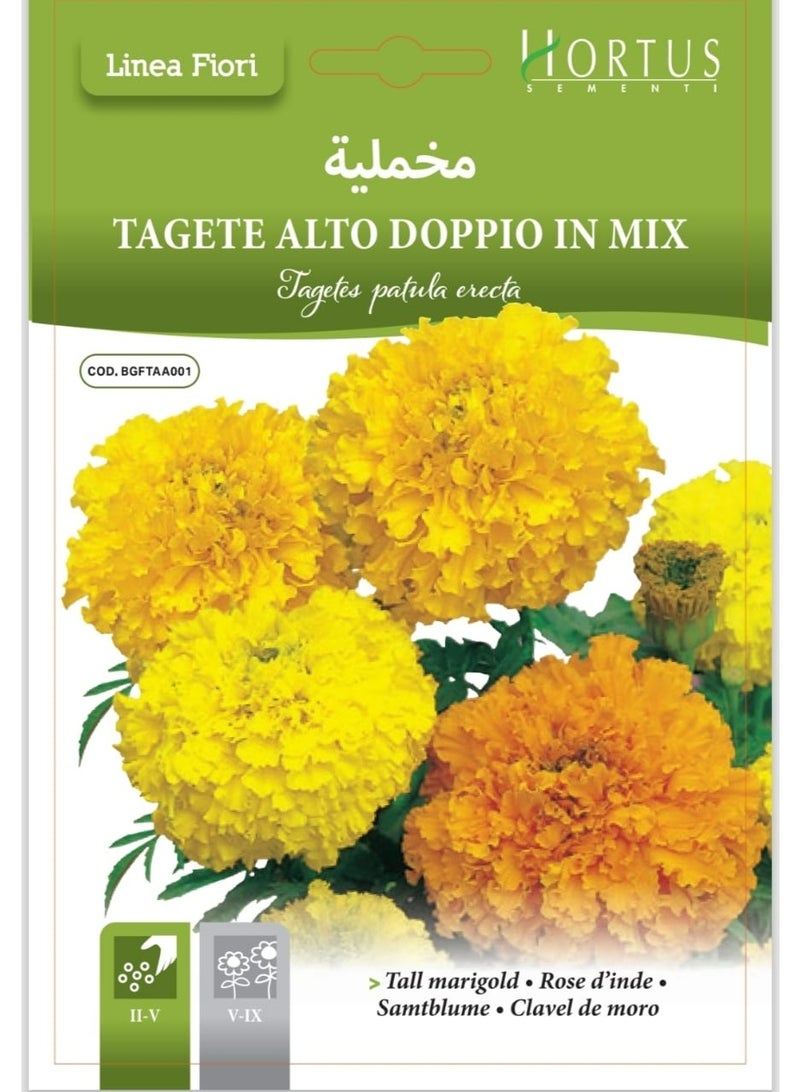 Marigold Seeds