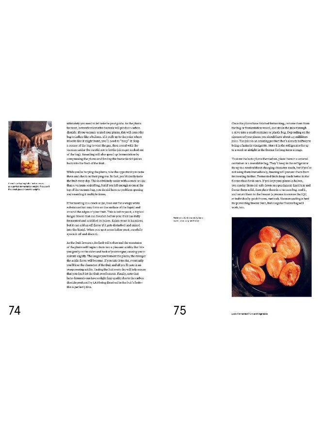 null - The Noma Guide to Fermentation (Foundations of Flavor) - Image 1
