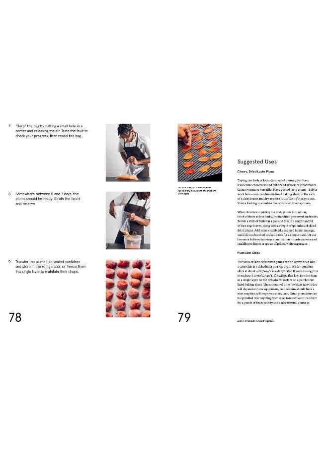 null - The Noma Guide to Fermentation (Foundations of Flavor) - Image 1