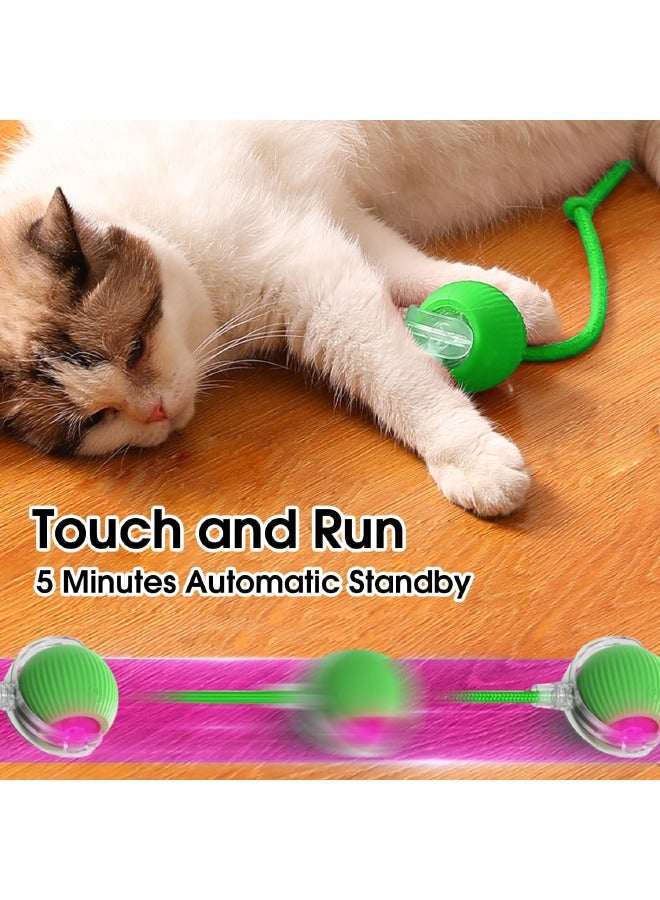 Interactive Rolling Pet Toy Ball, 360° Smart Automatic Self Rolling Cat Dog Ball Toys, Smart Interactive Pet Toy Ball, USB Rechargeable Cat Toys Ball, Automatic Electric Moving Ball Toy for Indoor Cat/Dog (Green) - Image 4