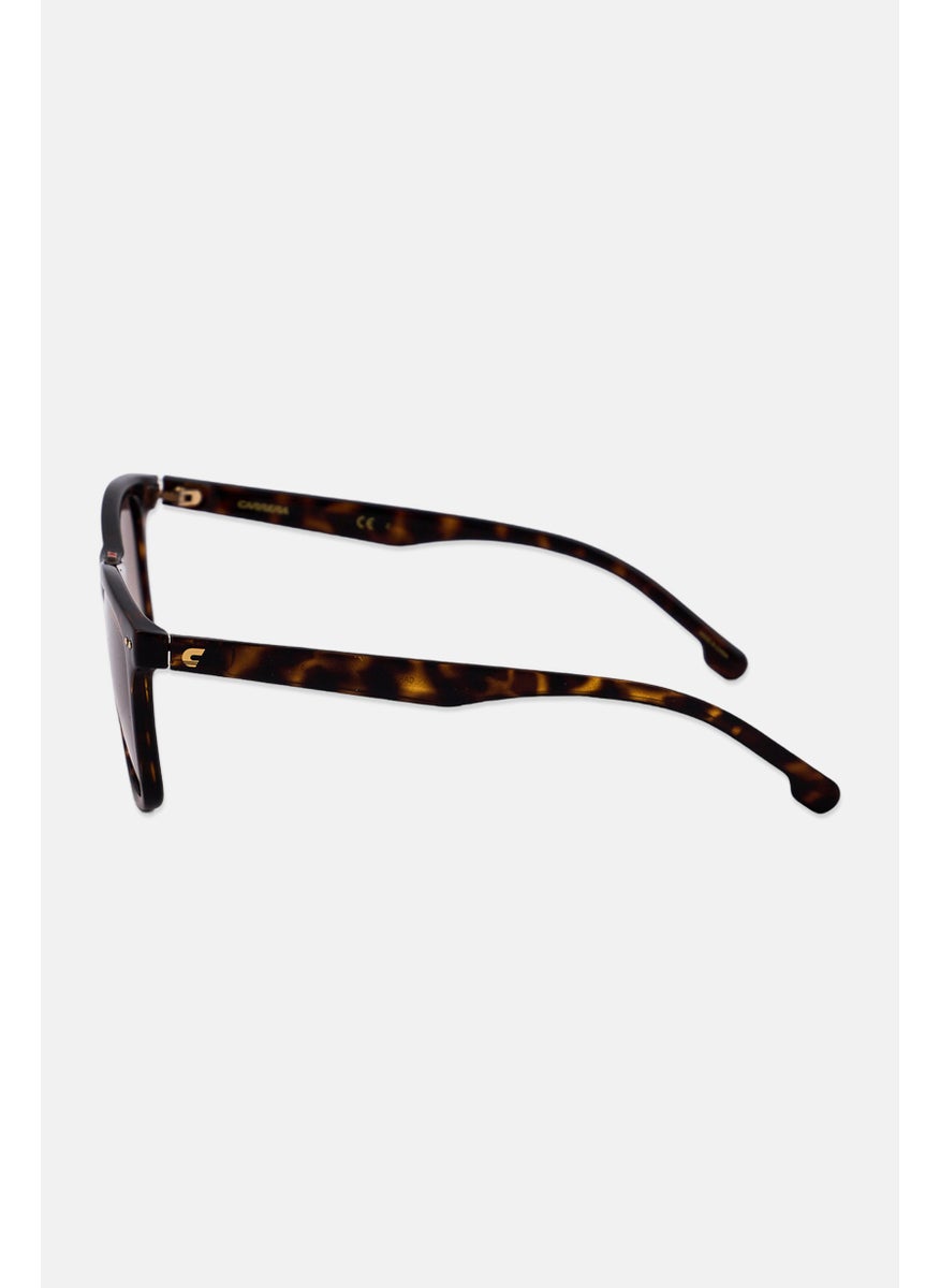 Carrera Men 2022TS Polycarbonate Sunglasses, Brown Havanna  - Image 3