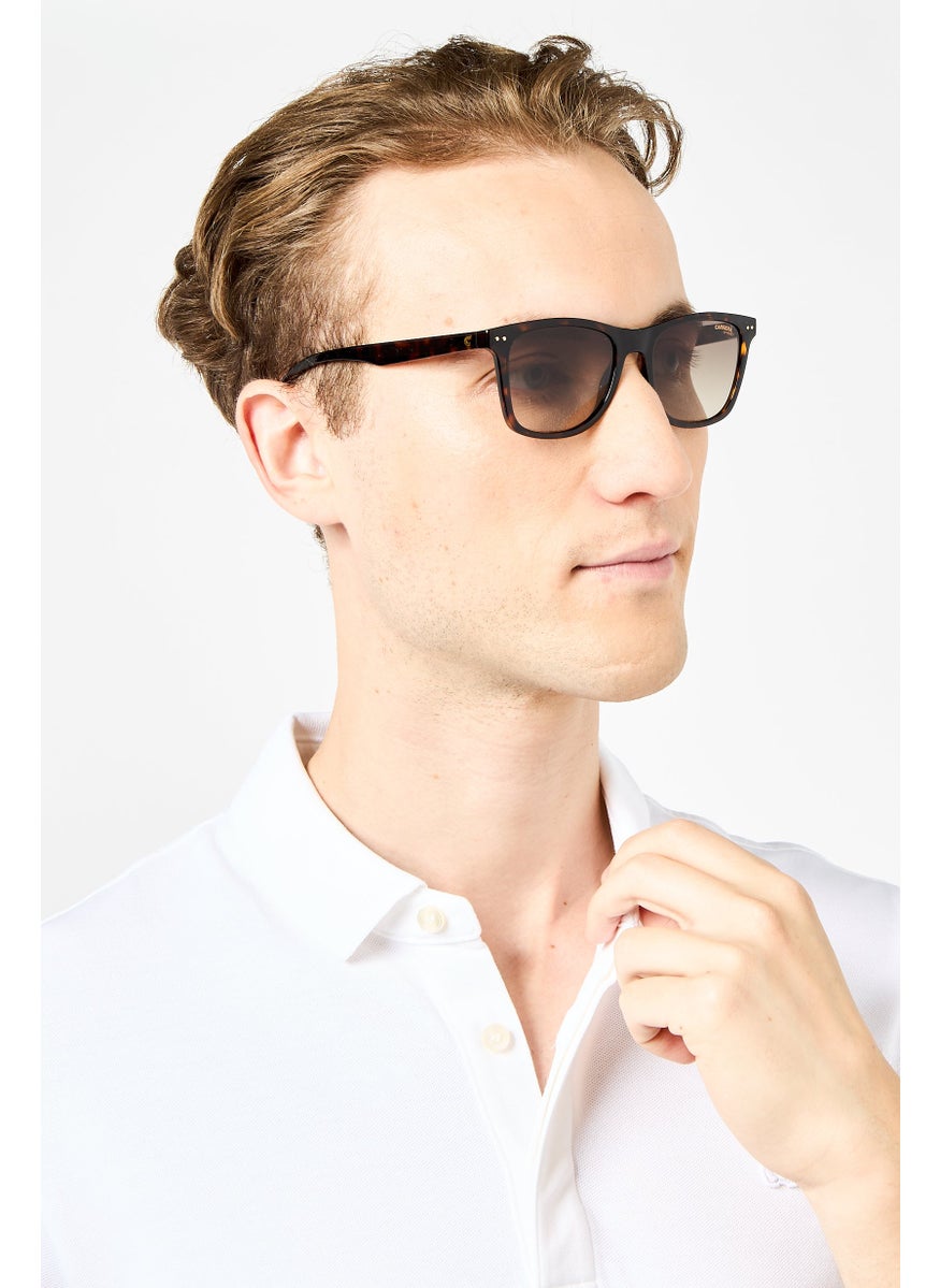 Carrera Men 2022TS Polycarbonate Sunglasses, Brown Havanna  - Image 5