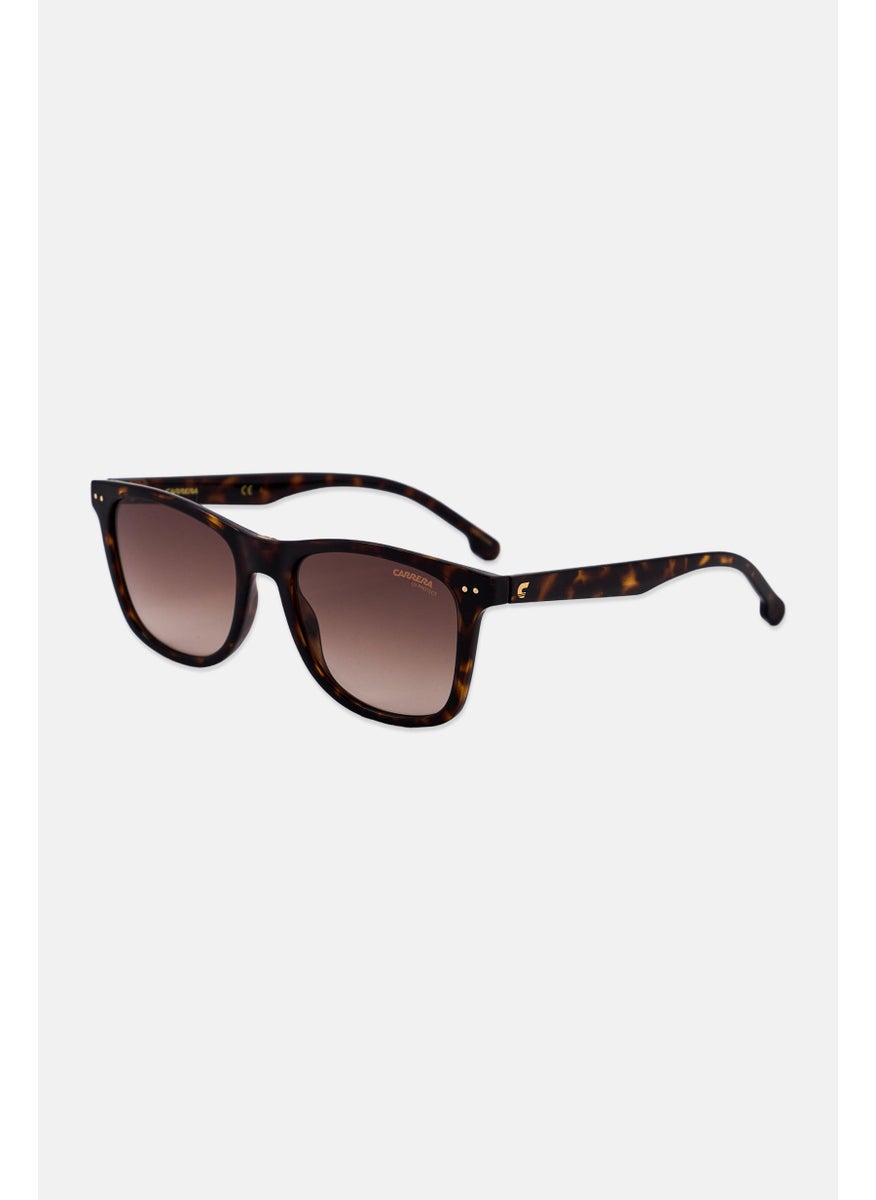 Carrera Men 2022TS Polycarbonate Sunglasses, Brown Havanna  - Image 2