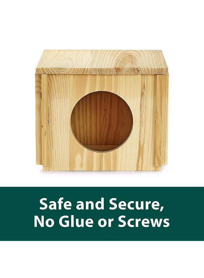 كايتي كوخ كايتي شينشيلا - Image 4