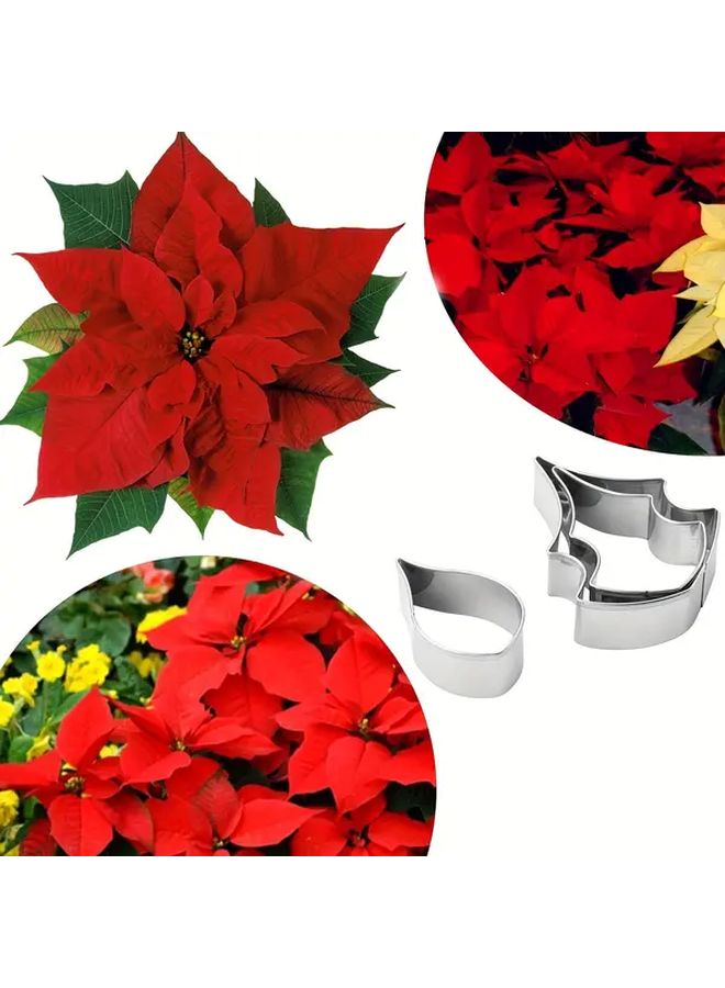 Stainless Steel Round Poinsettia Petal Mold For Baking Gummy Cakes Fondant Chocolate - Image 1