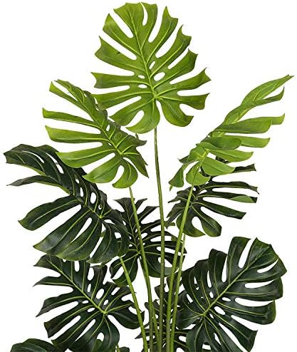 AMERIQUE شجرة مونستيرا بالميه صناعية فريدة رائعة بطول 6 أقدام مع وعاء بلاستيكي للحضانة مع حماية من الأشعة فوق البنفسجية بتقنية الإحساس الحقيقي جودة فائقة GreenLV8453D6 - Image 2