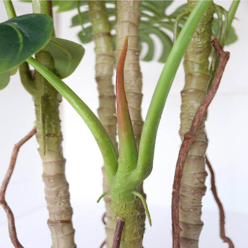 AMERIQUE شجرة مونستيرا بالميه صناعية فريدة رائعة بطول 6 أقدام مع وعاء بلاستيكي للحضانة مع حماية من الأشعة فوق البنفسجية بتقنية الإحساس الحقيقي جودة فائقة GreenLV8453D6 - Image 3