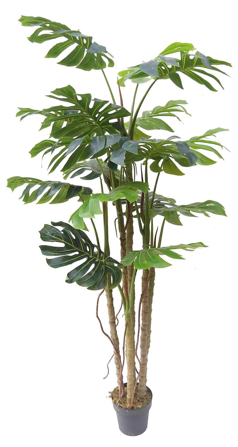 AMERIQUE شجرة مونستيرا بالميه صناعية فريدة رائعة بطول 6 أقدام مع وعاء بلاستيكي للحضانة مع حماية من الأشعة فوق البنفسجية بتقنية الإحساس الحقيقي جودة فائقة GreenLV8453D6 - Image 1