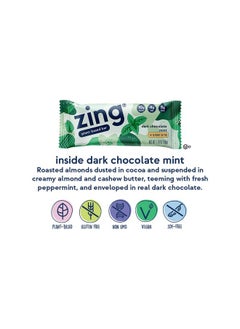 Zing Dark Chocolate Mint Vegan Protein Bars, Gluten Free with High Protein, High Fiber, Dairy Free Nutrition Bars, Plant Based Protein, Kosher, Low Sugar, No Sugar Alcohols - 12 count - pzsku/Z727DF367D544F1C28C35Z/45/_/1740203202/11d837cb-72c0-45a8-bc22-0364f1bc7528