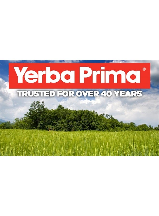 Yerba Prima Moringa, 180 Count Veg Caps - 400mg of Pure, Dried Leaf Powder, Green Blast of Nutrients, Rich in Antioxidants, 100% Pure, Super Food, Non-GMO, Vegan Friendly, Gluten-Free, USA Made - Image 3