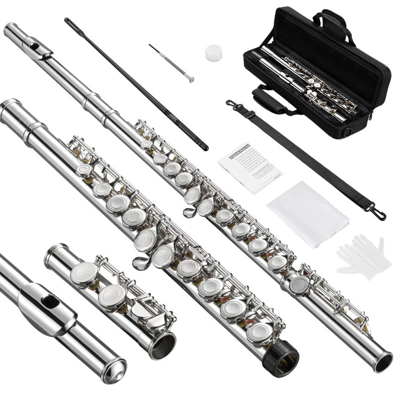 POGOLAB Flutes, Closed Hole C 16 Keys Flute Instrument, Student Flute for Beginner Advanced Player, with Cleaning Kit, Carry Bag, Strap, Probe Rod, Gloves (Nickel) - Image 1
