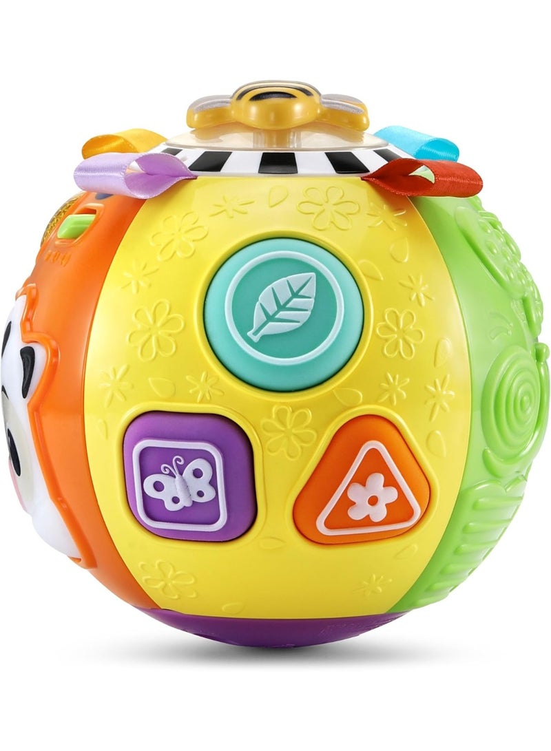 VTech Animal Discoveries Ball – Interactive Learning Toy for Babies | Light-Up Musical Activity Ball with Sounds, Textures & Shapes | Develops Motor Skills, Colors & Animal Recognition - Image 5