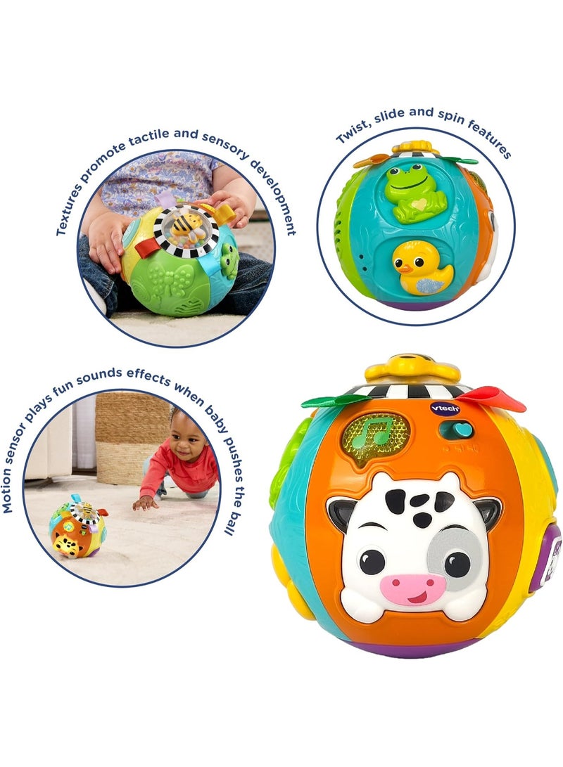 VTech Animal Discoveries Ball – Interactive Learning Toy for Babies | Light-Up Musical Activity Ball with Sounds, Textures & Shapes | Develops Motor Skills, Colors & Animal Recognition - Image 2