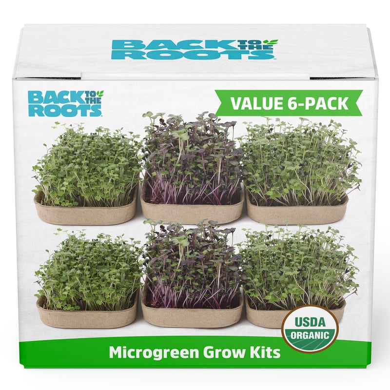 Back to the Roots Back to the Roots DIY Microgreen Grow Kit, 6-Grow Variety Pack  - Image 1