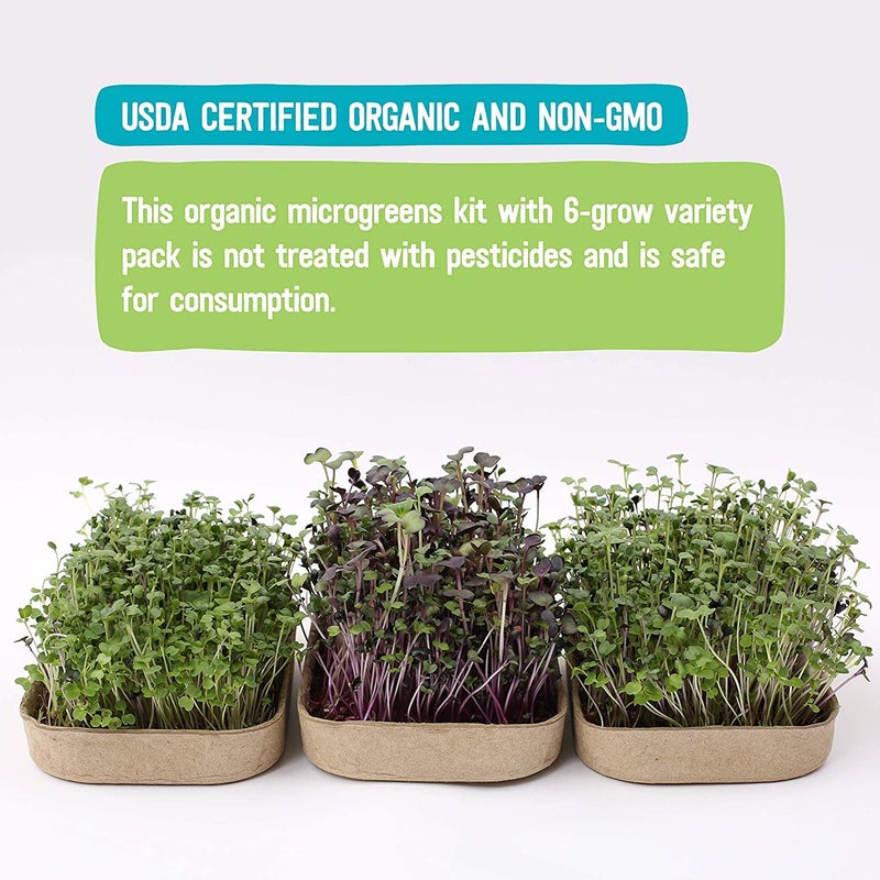 Back to the Roots Back to the Roots DIY Microgreen Grow Kit, 6-Grow Variety Pack  - Image 5