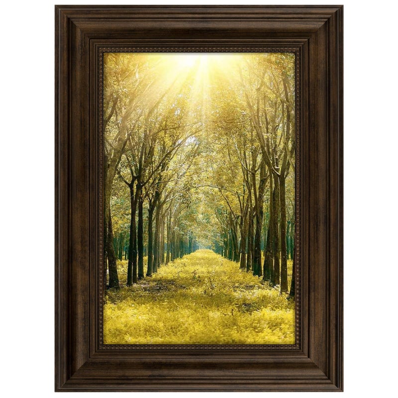 Space Art Deco 8x12 Ornate Picture Frame Without Mat for 8x12 PhotoShatterResistant Glass Sawtooth Hangers Wall Mount DisplayColor Brown