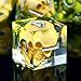 Froggod Moss Skull DND Dice Set 7Pcs Sharp Edge DD Dice with Gift Box for for Dungeons and Dragons Resin D and D Role Playing Dice D20 D12 D10 D8 D6 D4 Transparent - Image 2