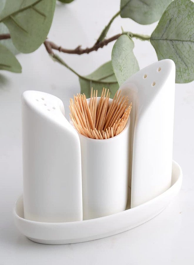 123Arts طقم من 4 قطع من علب الملح والفلفل الخزفية من 123Arts مع حامل أعواد الأسنان وصينية - Image 3