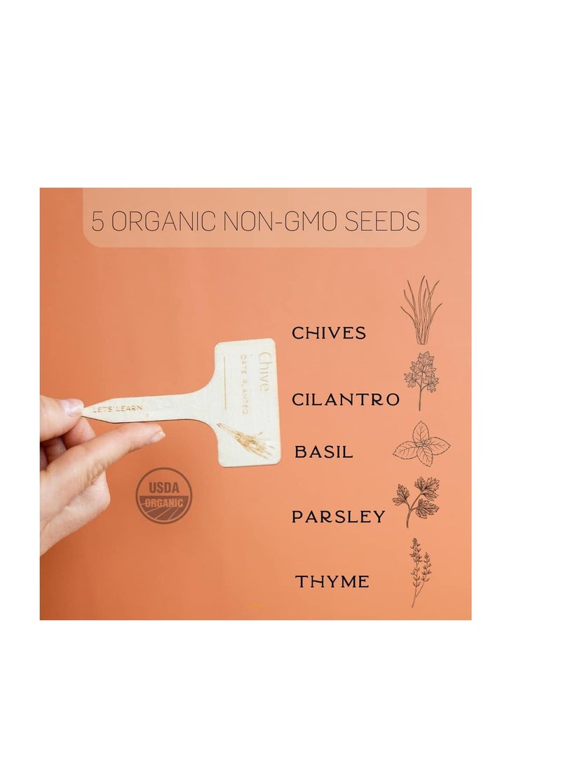 Generic CASAZEN Growing Kit Coriander, Chives, Parsley, Basil and Thyme Easy for Indoor Use - Image 3