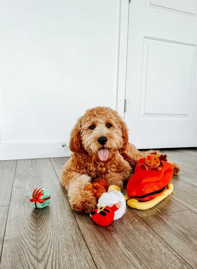 Midlee Santa Sleigh Find a Toy Christmas Dog Toy- Plush Burrow Interactive Hide & Seek Pet Holiday Toy - Image 5