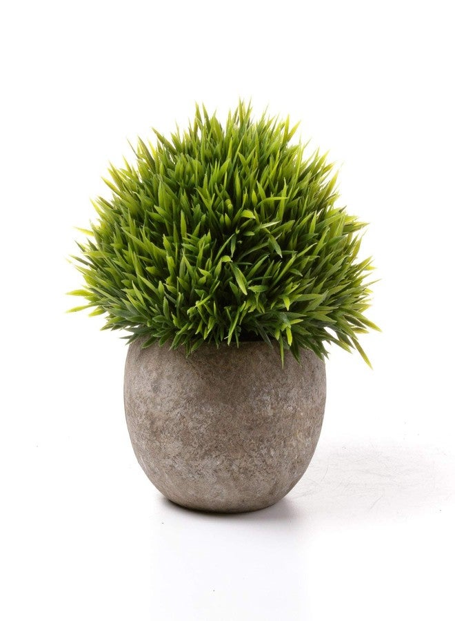 T4U Fake Artificial Potted Grass Plants - Small Green Pack of 6, Home and Office Decoration Desktop Windowsill Bonsai Indoor Gift for Wedding Birthday Christmas - Image 4