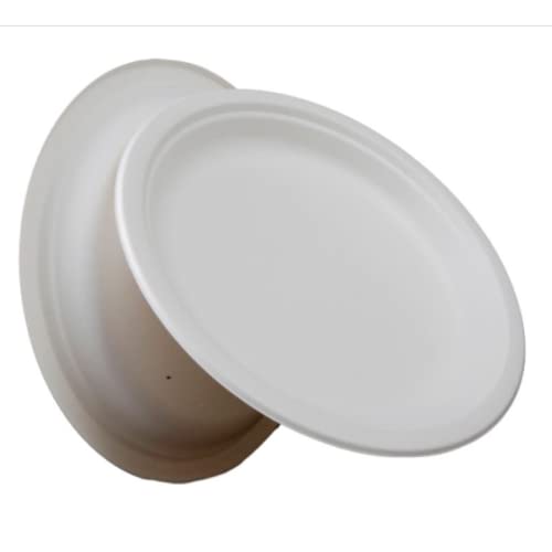 G1 G 1 Disposable Plates | Round | 100% Natural | Biodegradable | Compostable | Safe & Hygienic | 7 Inch | Medium | Pack of 50 - Image 3