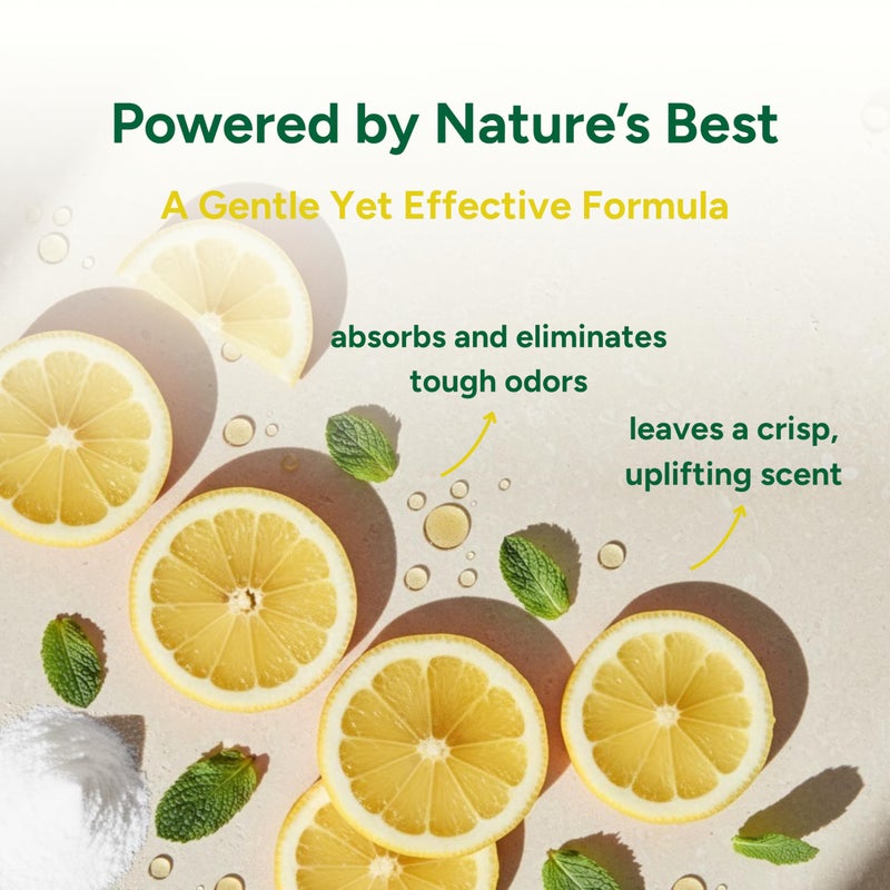 Good Natured Brand علامة تجارية طبيعية جيدة | مزيل رائحة السجاد ومنعش | 31 أونصة مزيل رائحة الحيوانات الأليفة للرائحة القوية وبول الحيوانات الأليفة | رائحة ليمون وإكليل الجبل الطبيعية المنعشة | آمن للمنازل التي تحتوي على حيوانات أليفة - Image 4