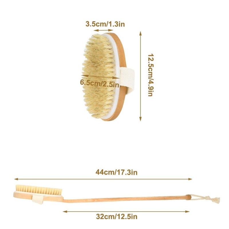STORE77® Shower Brush with Long Handle, Back Scrubber for Shower Wooden Long Handle for Skin Exfoliating 2 in 1 Wet Dry Stiff Natural Bristles Bath Brush - Image 5