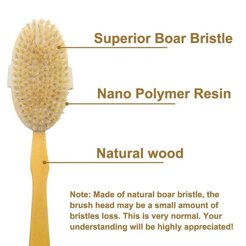 STORE77® Shower Brush with Long Handle, Back Scrubber for Shower Wooden Long Handle for Skin Exfoliating 2 in 1 Wet Dry Stiff Natural Bristles Bath Brush - Image 3