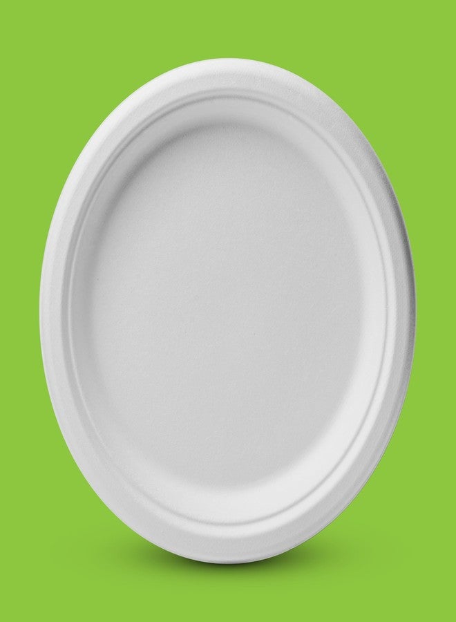 Munfix 100% Compostable Paper Plates 100 Pack, 6 Inch Heavy Duty Biodegradable Microwavable Disposable White Dessert Plates, Made of Eco-Friendly, Natural Sugarcane Bagasse - Image 3