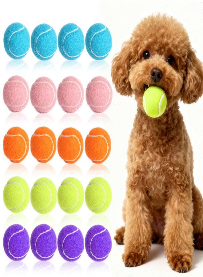 StyEdEk 20 Pack 2 inch Dog Toy Ball Small Tennis Balls Pet Dog Playing Ball for Pet - Image 1