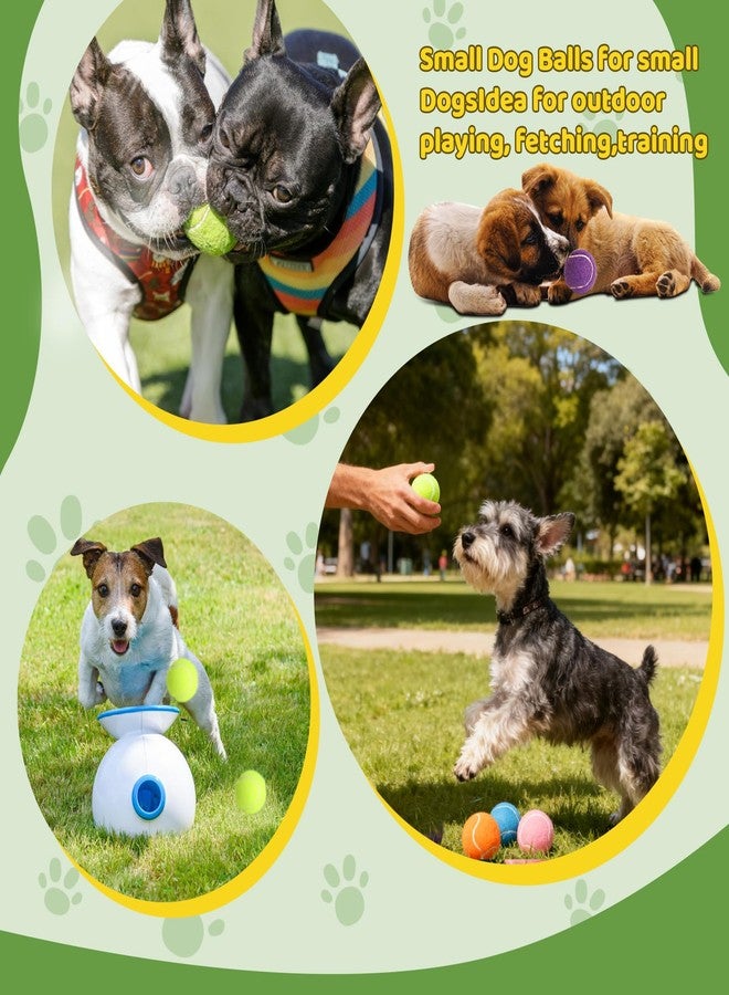 StyEdEk 20 Pack 2 inch Dog Toy Ball Small Tennis Balls Pet Dog Playing Ball for Pet - Image 5