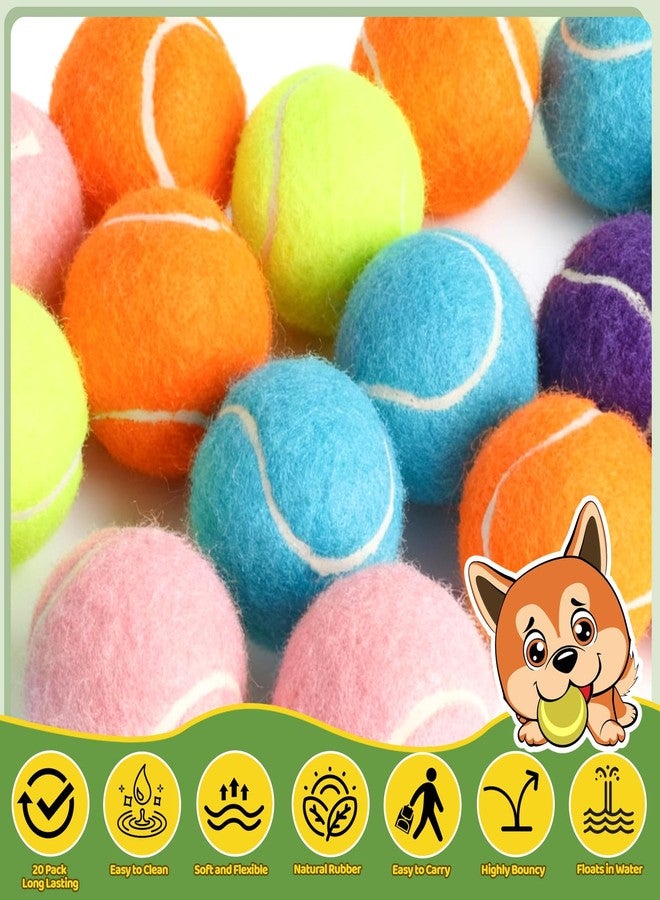 StyEdEk 20 Pack 2 inch Dog Toy Ball Small Tennis Balls Pet Dog Playing Ball for Pet - Image 3
