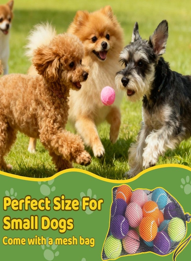 StyEdEk 20 Pack 2 inch Dog Toy Ball Small Tennis Balls Pet Dog Playing Ball for Pet - Image 4