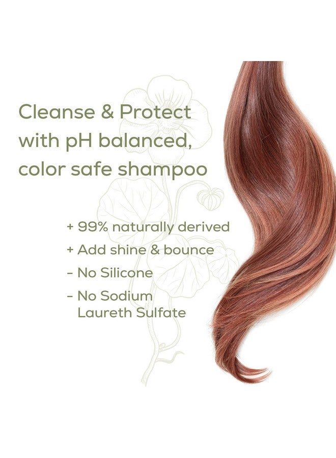 Naturtint Color Care Shampoo for Color-Treated, Dry, or Normal Hair, Formulated to Retain Vibrancy without Parabens, Sodium Lauryl Sulfate or Sodium Laureth Sulfate - Image 5