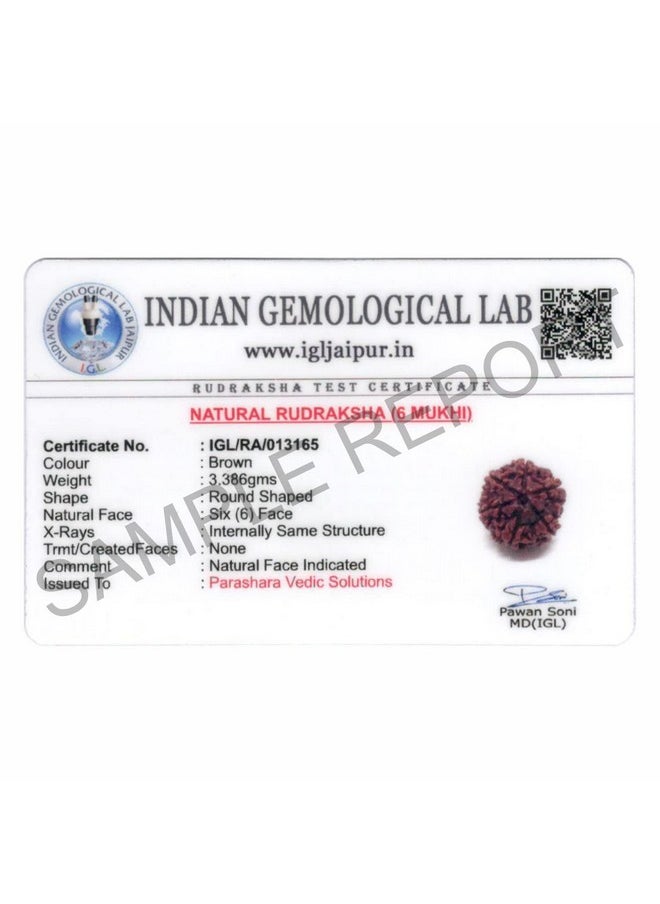 Arkam - ARKAM Six Mukhi Rudraksha Certified/Original Nepali 6 Mukhi Rudraksh/Natural 6 faced Rudraksha (Brown) with Certificate and Puja Instructions - Image 1